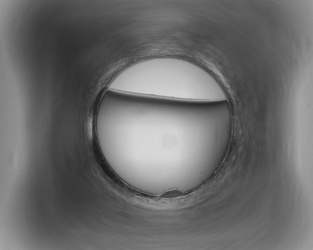 X0000116680019200912141014