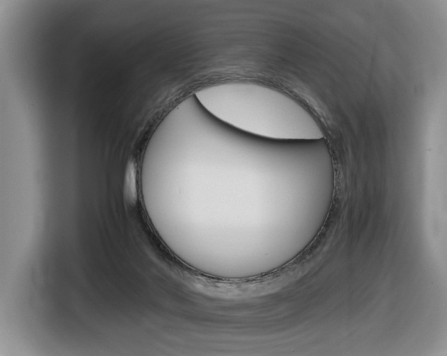 X0000116680022200912141014
