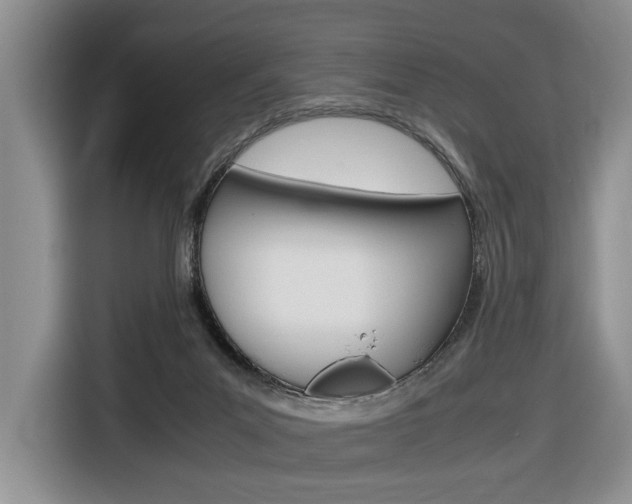 X0000116680023200912141014