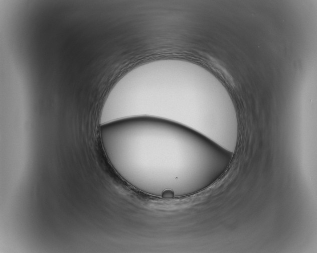 X0000116680025200912141014