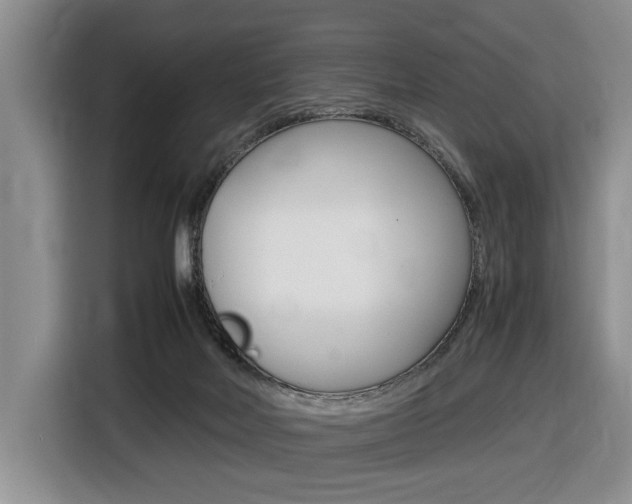 X0000116680026200912141014