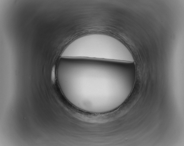 X0000116680028200912141014