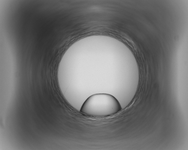 X0000116680029200912141014