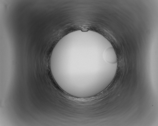 X0000116680030200912141014