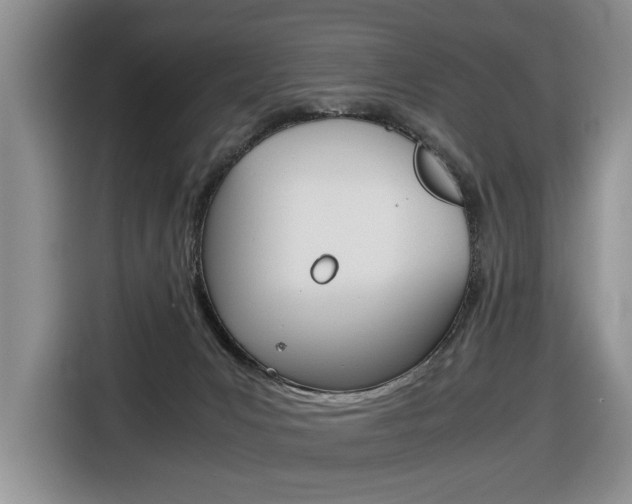 X0000116680031200912141014