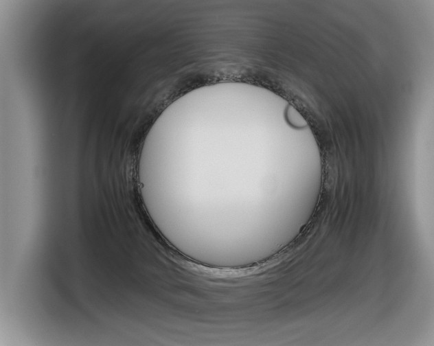 X0000116680034200912141014