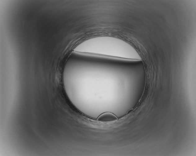 X0000116680035200912141014