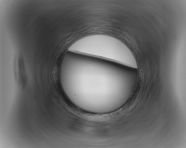 X0000116680036200912141014