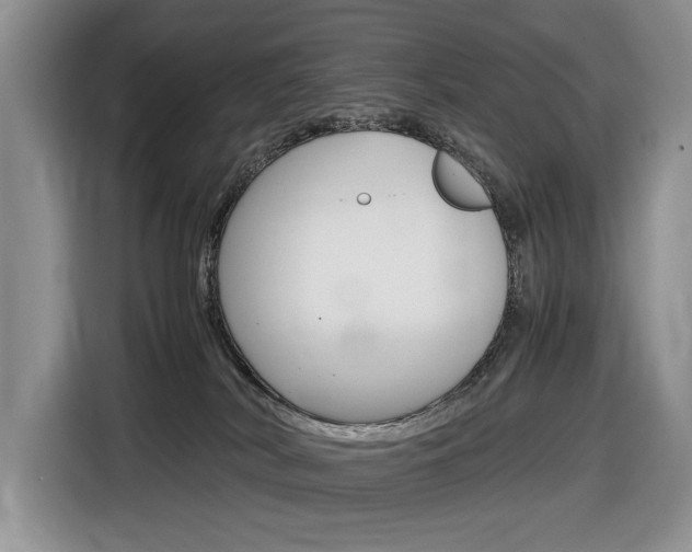 X0000116680038200912141014