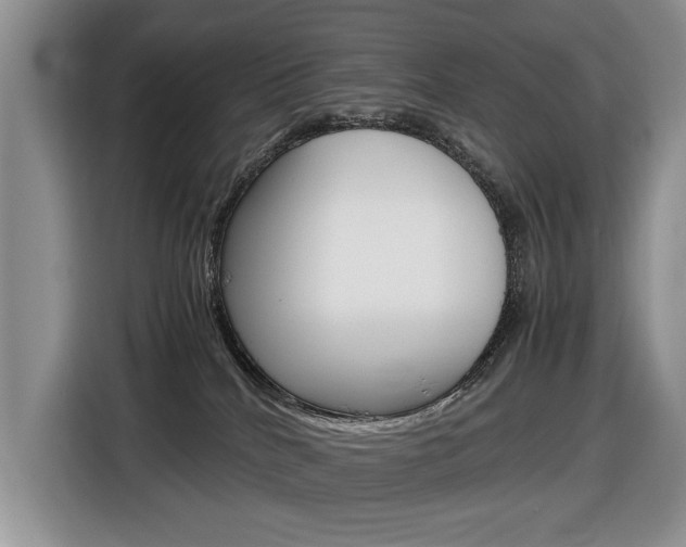 X0000116680040200912141014