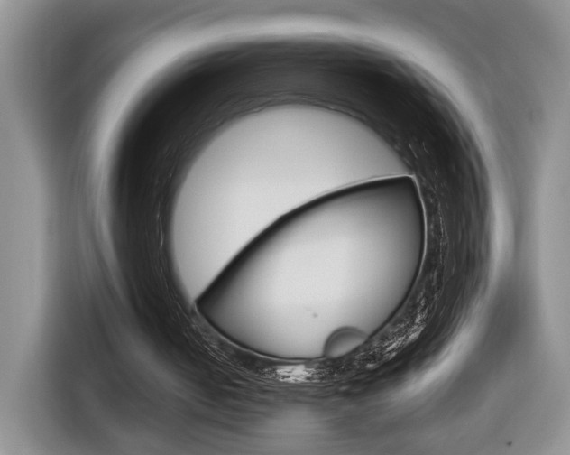 X0000116680050200912141013