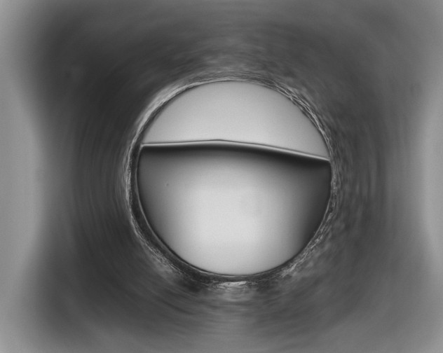 X0000116680054200912141013