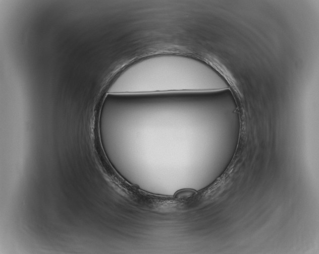 X0000116680058200912141013