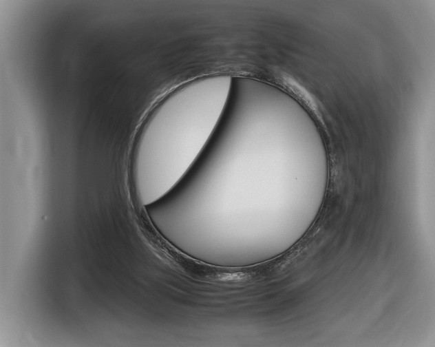 X0000116680059200912141013