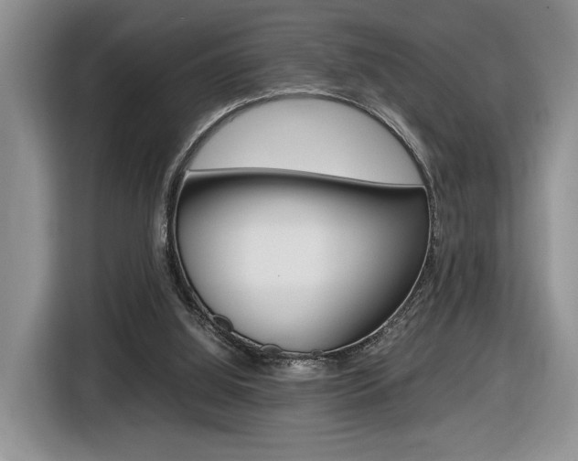 X0000116680060200912141013