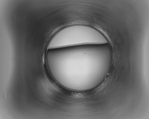 X0000116680062200912141013