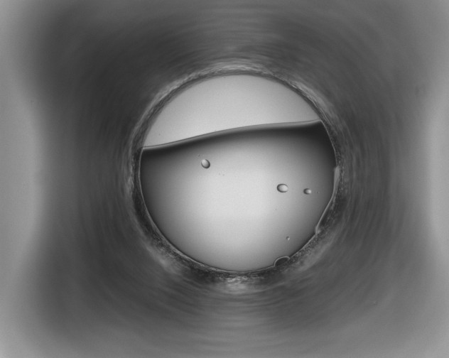 X0000116680064200912141013