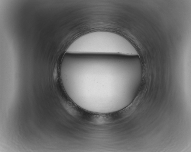 X0000116680074200912141014