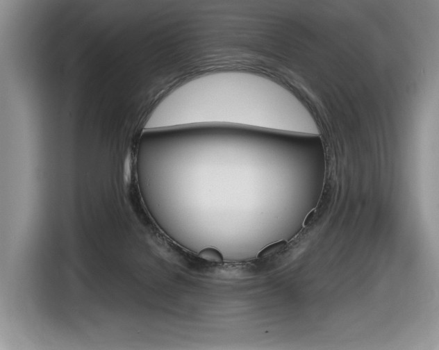 X0000116680076200912141014