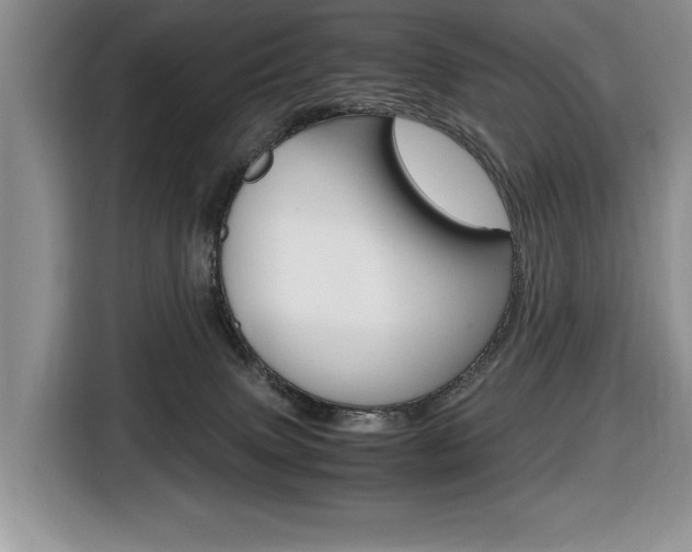 X0000116680083200912141014