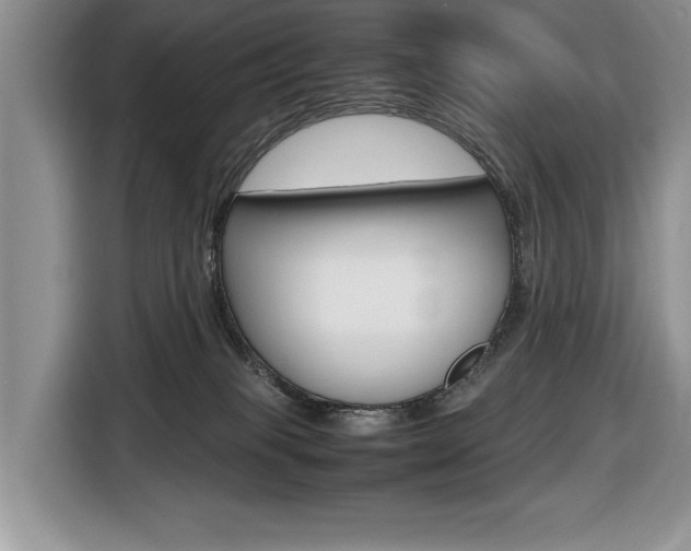X0000116680085200912141014