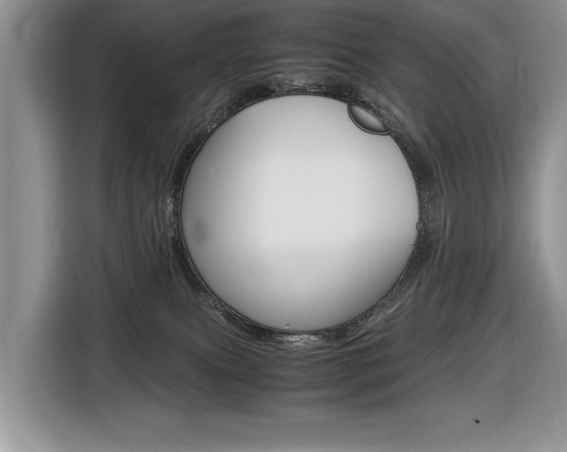 X0000116680087200912141014