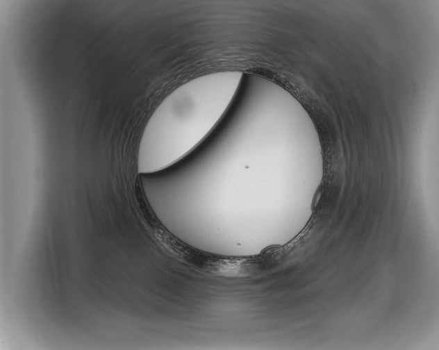 X0000116680090200912141014