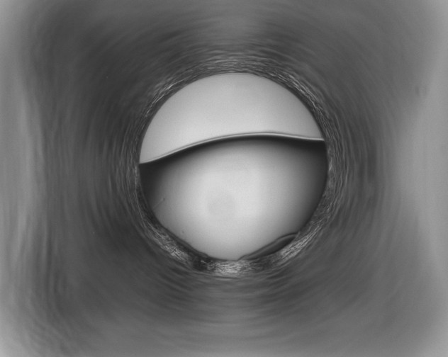 X0000116680096200912141014