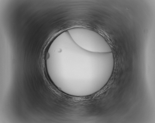X0000116680098200912141013