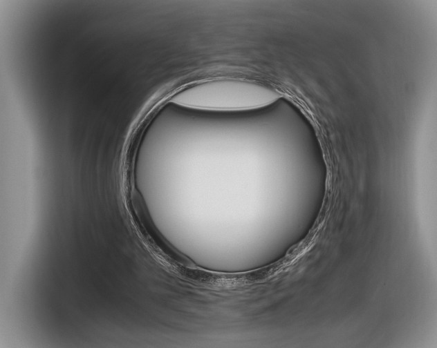 X0000116680101200912141013