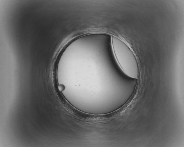 X0000116680103200912141013