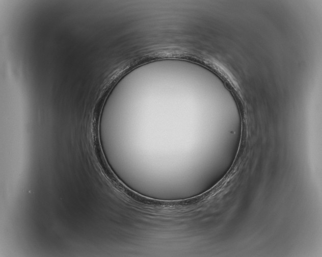 X0000116680105200912141013