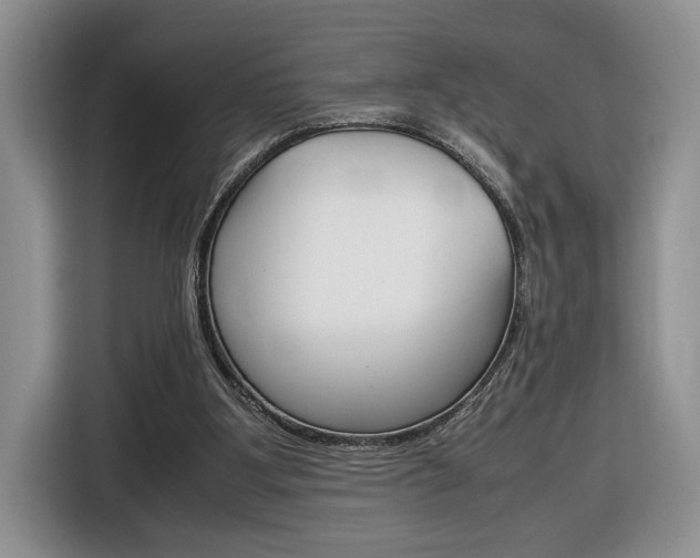X0000116680107200912141013