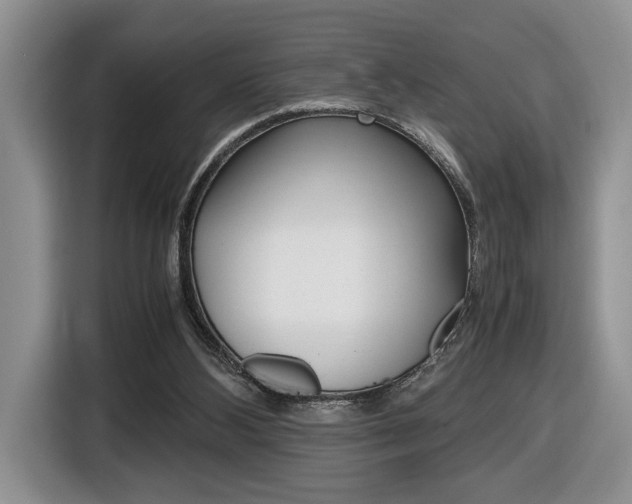 X0000116680108200912141013