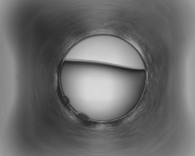 X0000116680109200912141013
