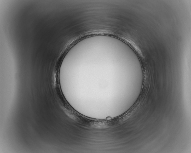 X0000116680110200912141013