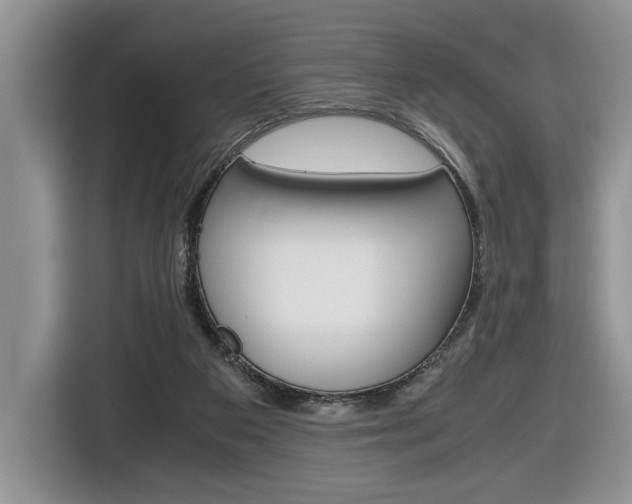 X0000116680113200912141013