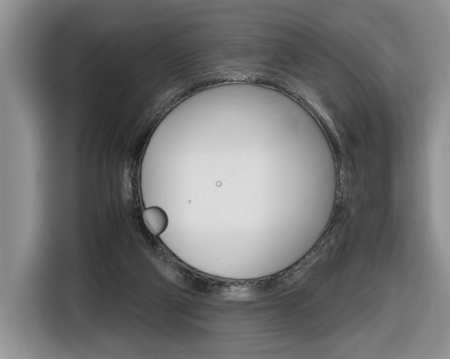 X0000116680114200912141013