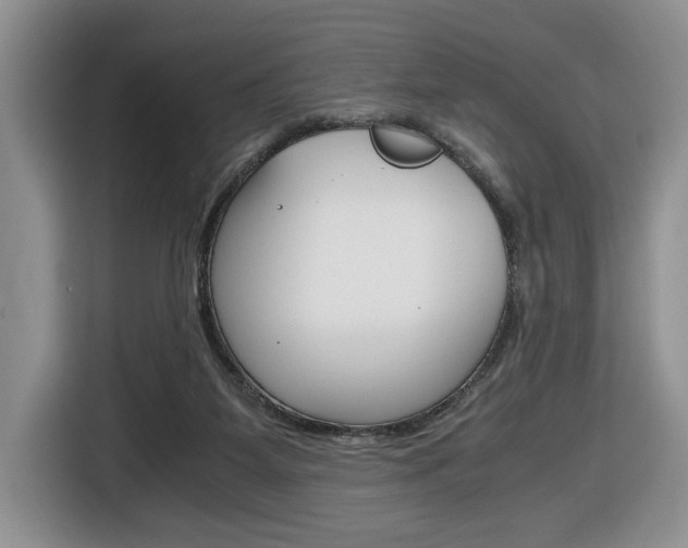 X0000116680115200912141013
