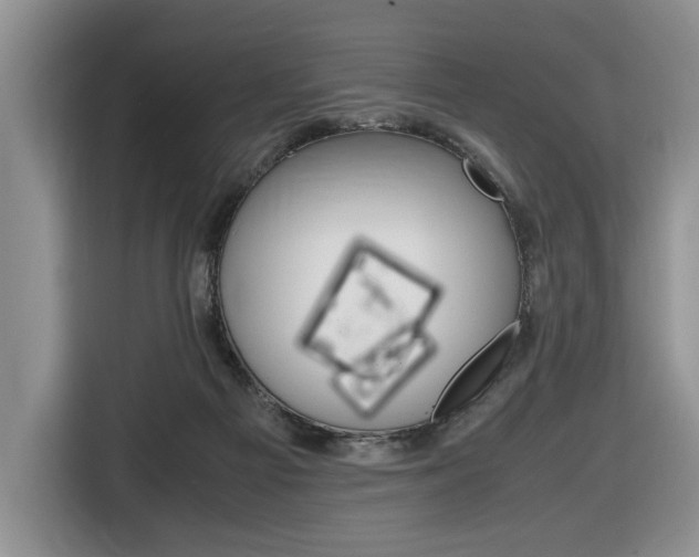 X0000116680121200912141013