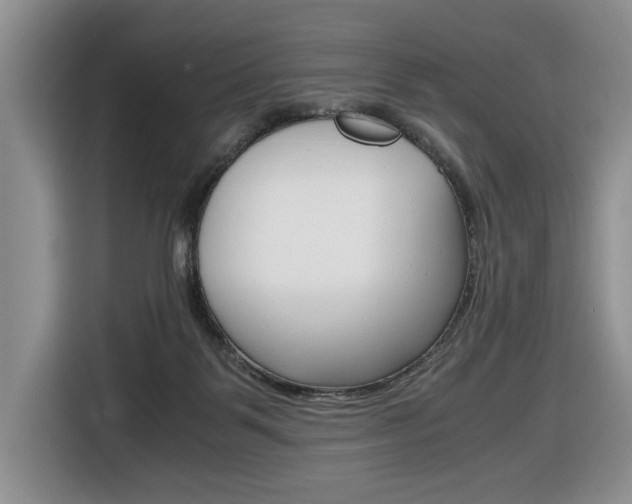 X0000116680123200912141013