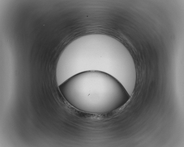 X0000116680124200912141013