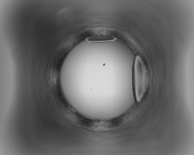 X0000116680125200912141013