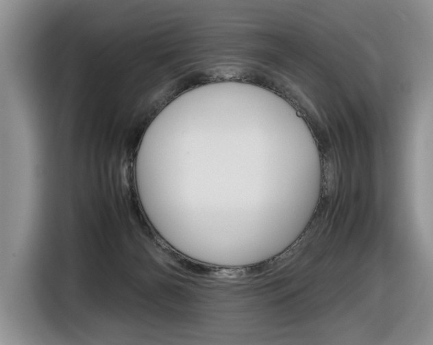 X0000116680126200912141013
