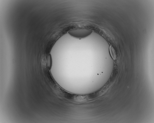 X0000116680129200912141013