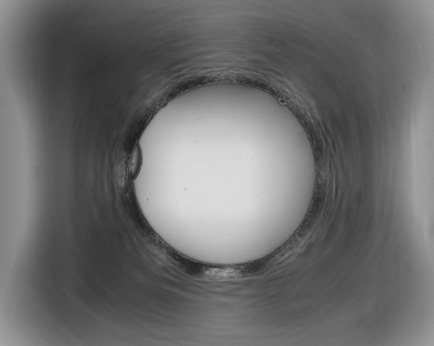 X0000116680133200912141013