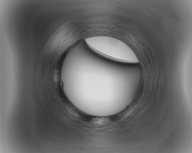 X0000116680135200912141013