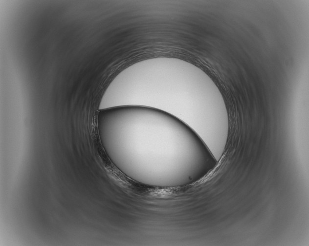 X0000116680140200912141013