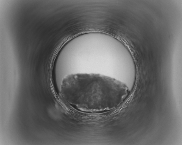 X0000116680145200912141012