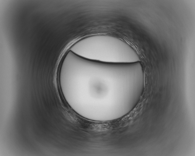 X0000116680147200912141012